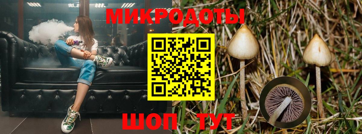 Галлюциногенные грибы мицелий  Вход с VPN  Десногорск 