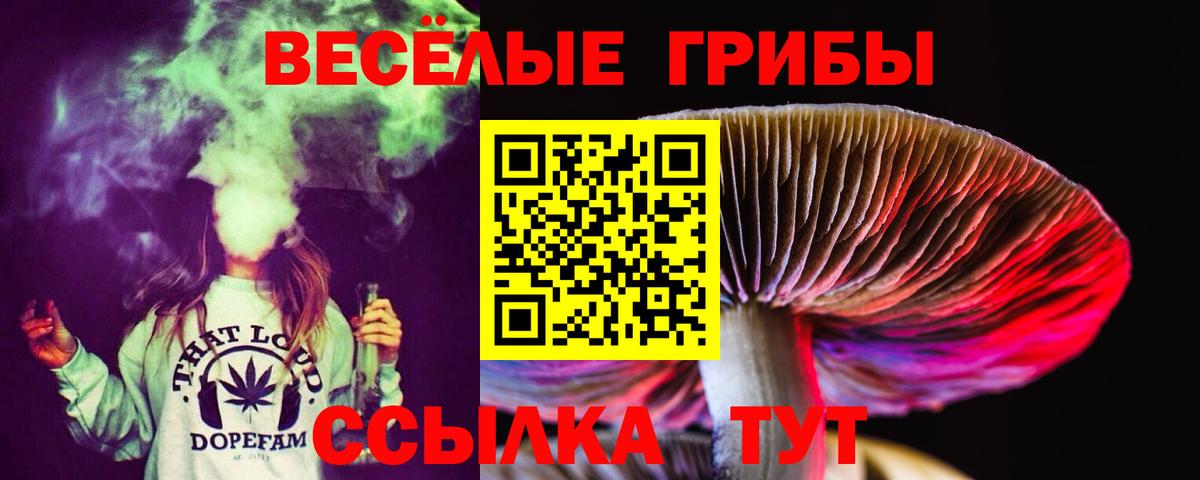Псилоцибиновые грибы мухоморы Десногорск